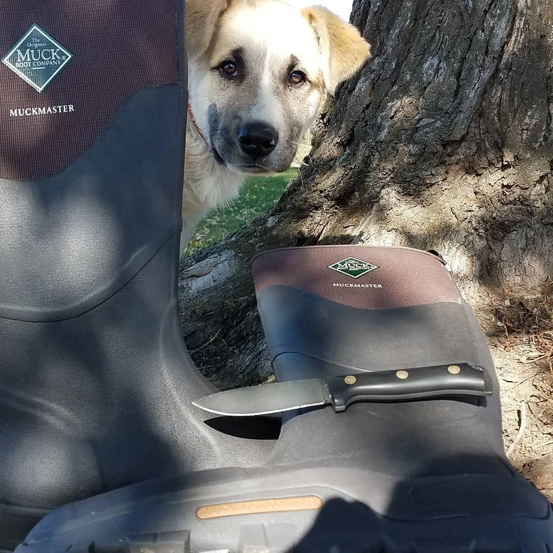 Muck Men's Boot MuckMaster Gold Work Boots - Brown 4 Muck Men's Boot MuckMaster Gold Work Boots - Brown - Image 2