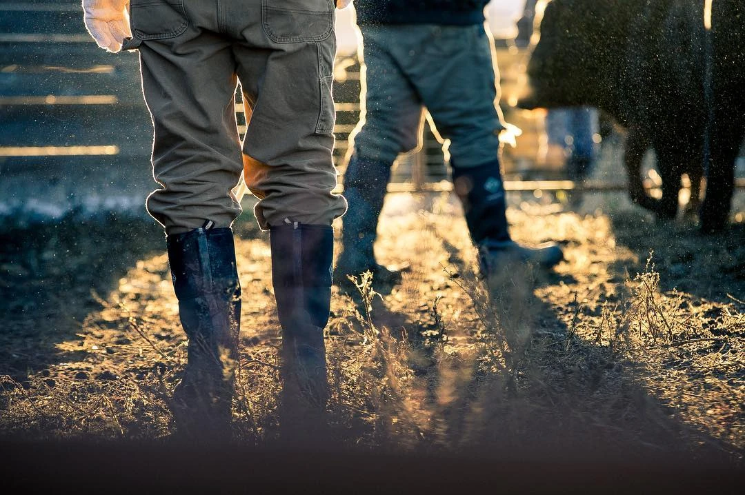 Muck Men's Boot MuckMaster Gold Work Boots - Brown 6 Muck Men's Boot MuckMaster Gold Work Boots - Brown - Image 4