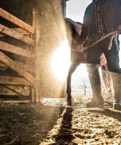 Muck Men's Boot MuckMaster Gold Work Boots - Brown -Clothing & Footwear store mmg 998 4 1