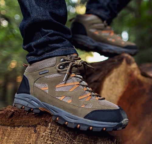 Clothing & Footwear store -Clothing & Footwear store 7422847 2 1